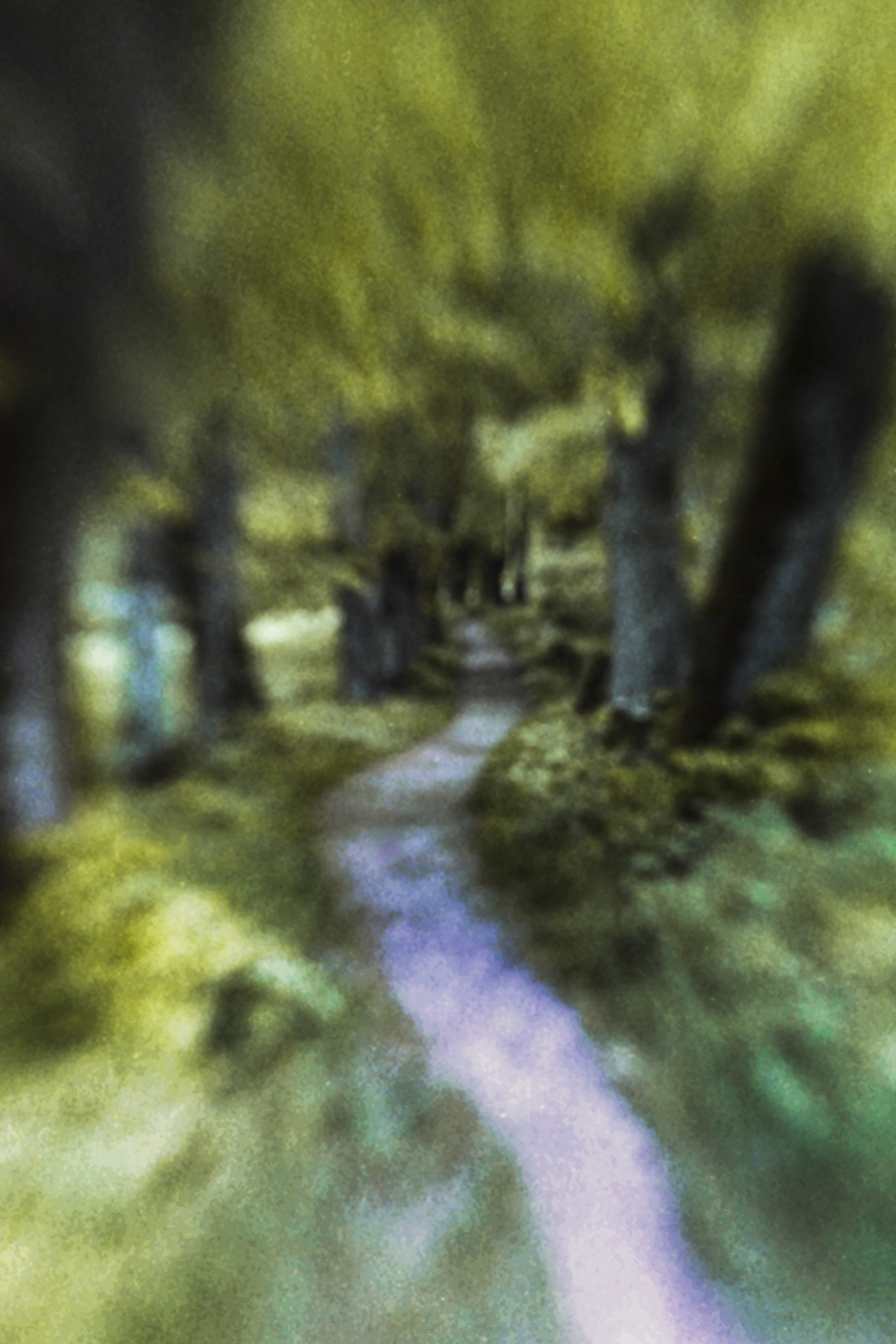 Galeriebild 9