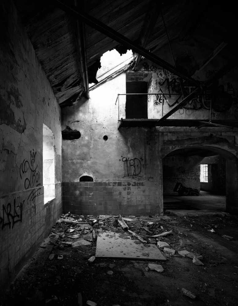 Galeriebild 5
