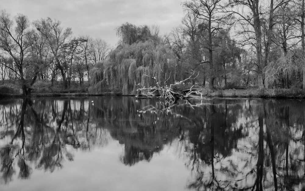 Galeriebild 8