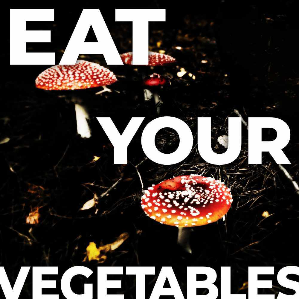 EAT YOUR VEGETABLES! Ein Zine-Workshop mit Nebenwirkungen